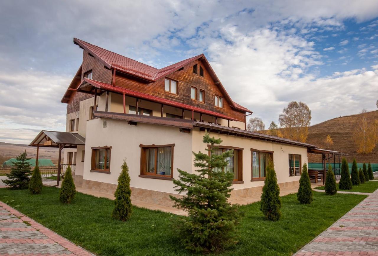 Pensiunea Victoria Maison d'hôtes *